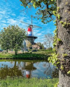 Molen de vlak